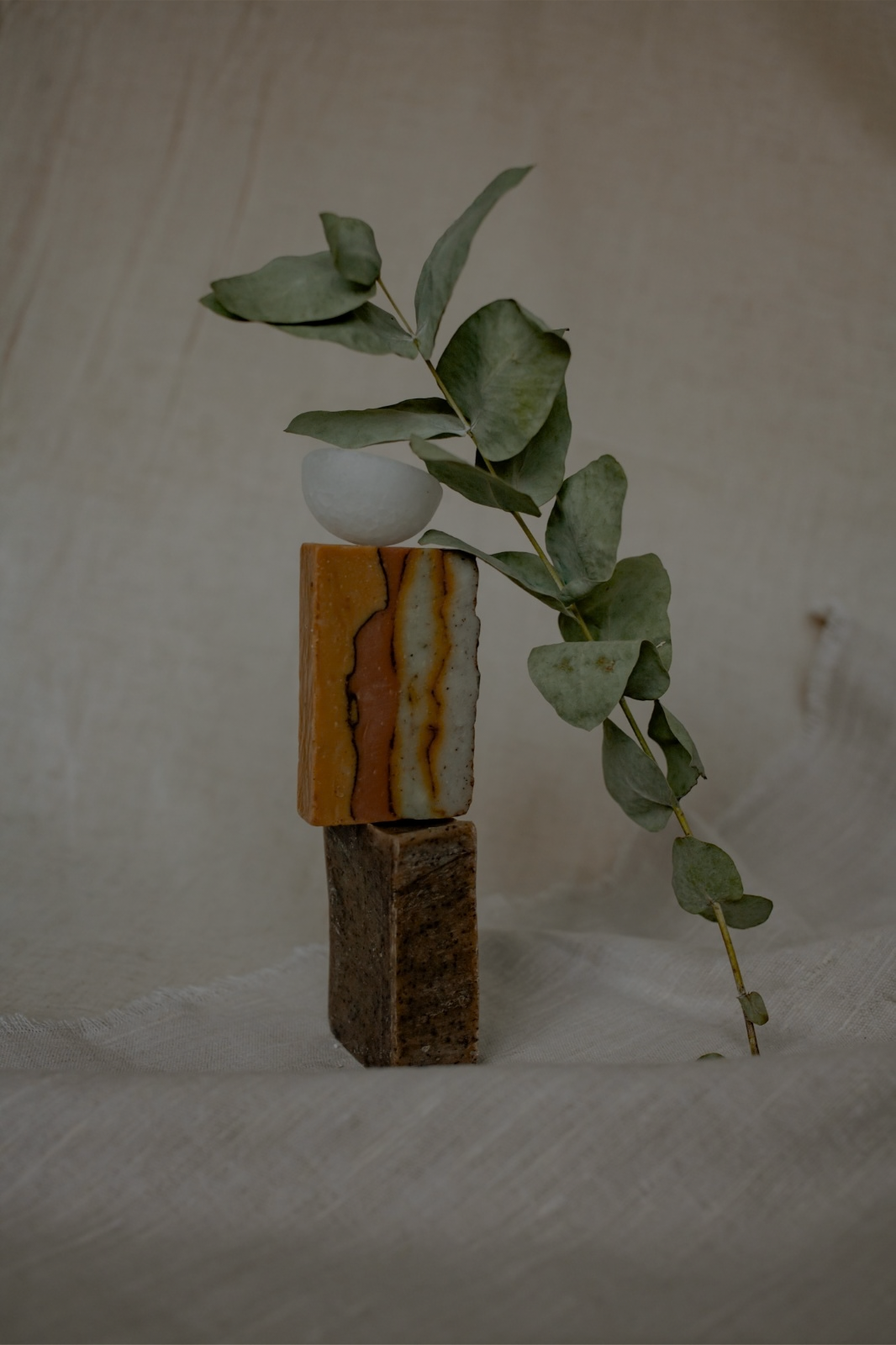 Untitled design (78)